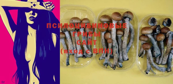 прущая мука Абаза